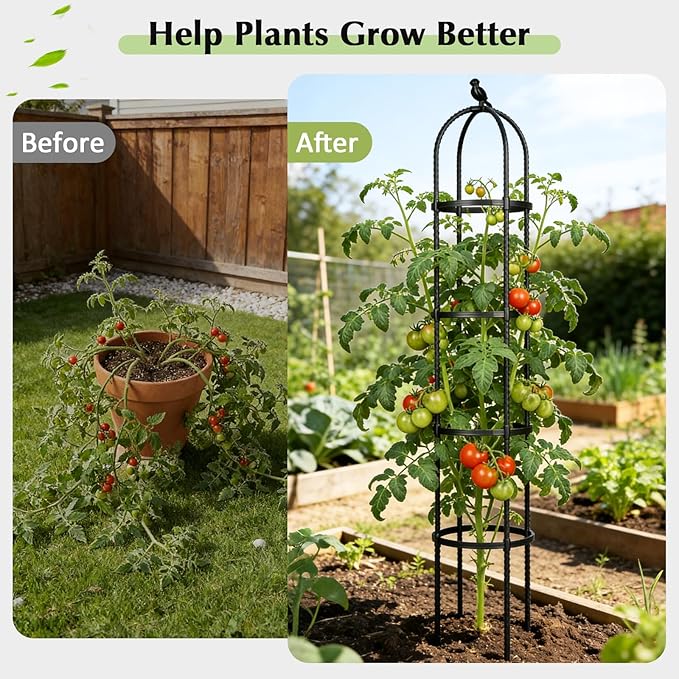 Garden Obelisk Trellis for Climbing Plants Outdoor, 6.2 FT Tomato Cage, Rose, Flowers, Grape, Pea, Cucumber Trellis, Rustproof Plastic Coated Metal Plant Support Trellis for Potted Plants (2 Pack)