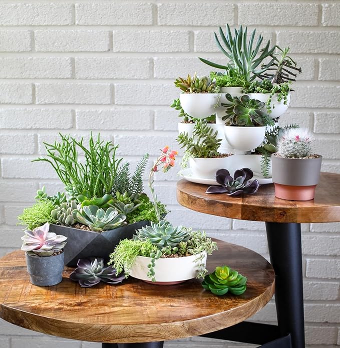 The HC Companies 6 Inch Round Plastic Succulent Capri Bowl 6"x6"x2.25" in Artisan Taupe with Copper Bottom Color