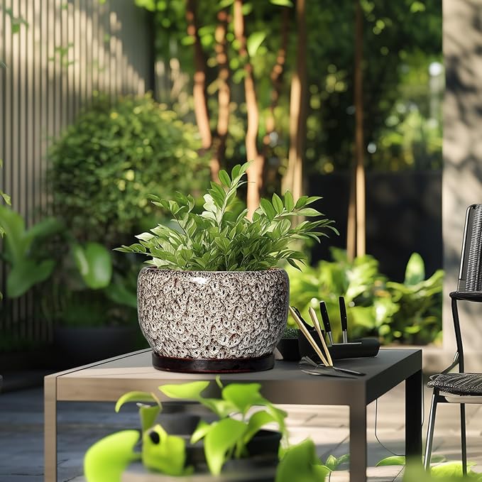 SQOWL Ceramic Plant Pots - 10 Inch Planter for Indoor Plants Outdoor, Large Flower Pots with Drainage Hole and Saucer, Decorative Round Planter, Apartment Decor, Garden Gifts for Women, White