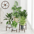 5 PackHeavy Duty Rack for Planter,Anti-Rust Flower Pot Stand Holder for Multiple Plants,Potted Plant Shelf for Living Room, Balcony, Garden, Patio