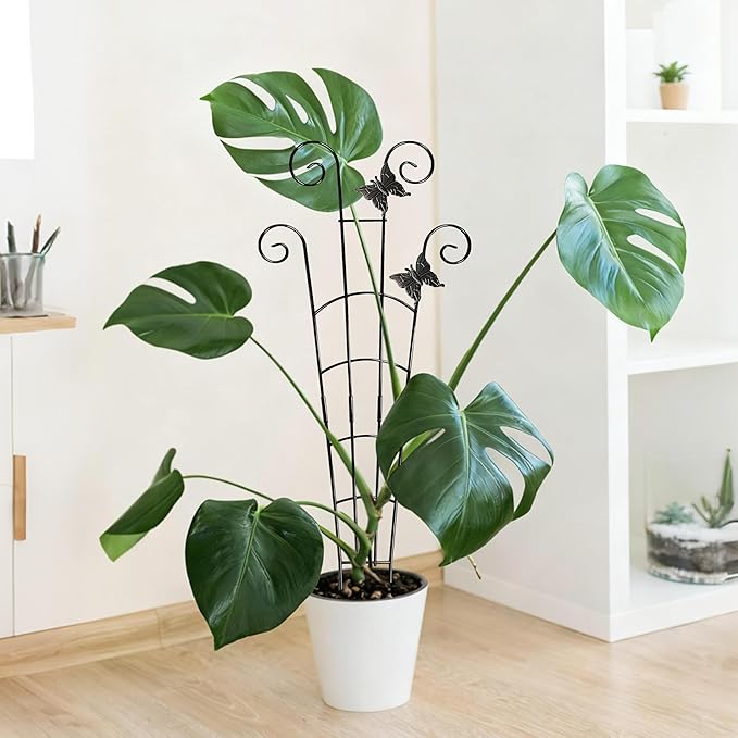 30'' Larger Plant Trellis with Ties Indoor, Expandable Metal Trellis for Climbing Plants Indoor, House Plant Climbing Support for Flowers Vine Ivy Monstera Hoya Pothos, 2P