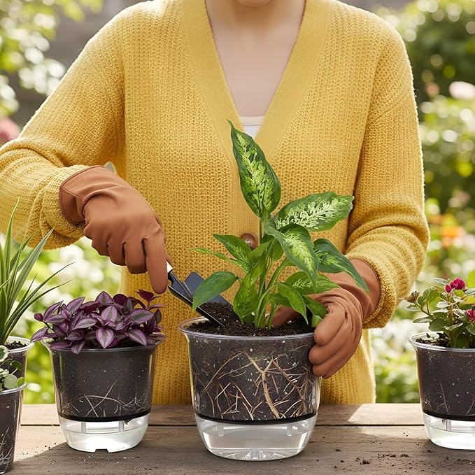 6 Pcs Clear Self Watering Pots for Indoor Outdoor Plants Flowers, 2 Each of 4, 5 and 6 Inch Self Watering Planters with Reservoir, Drainage Hole and Absorbent Cotton Rope