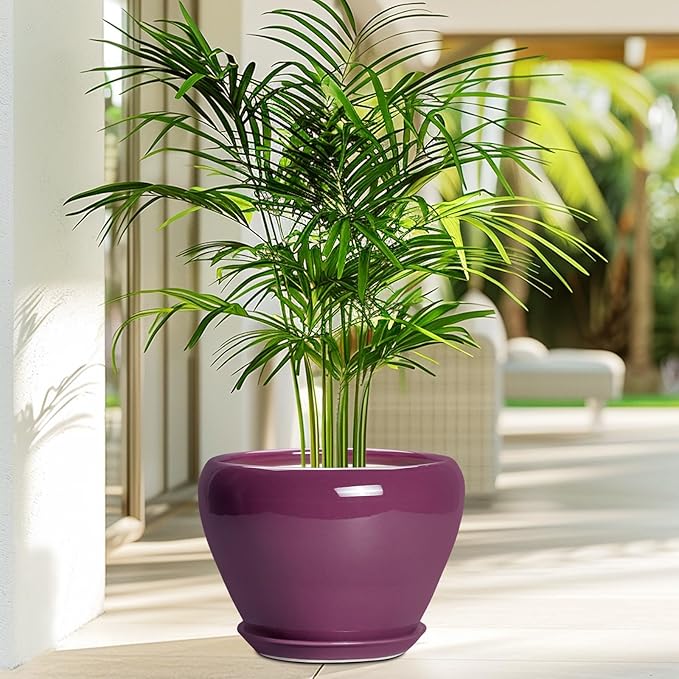 Ceramic Planter - 8 Inch Plant Pot Indoor with Drainage Hole and Saucer, Glaze Decorative Planter, Round Flower Pot, Plant Lover Gifts, Home Garden Office Decor, Purple