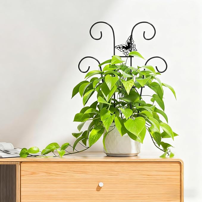 Indoor Plant Trellis for Climbing Plants, Stackable Garden Trellis for Potted Plants, Small House Plant Trellis for Vine Ivy Flower Plant Support Outdoor DIY Metal Trellis 3 Pack, Butterfly Design