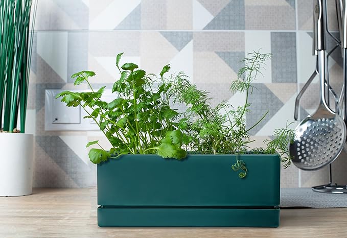 D'vine Dev 12 Inch Window Box Planter, Rectangle Plastic Herb Planter with Drainage Holes and Saucer, Indoor Succulent Cactus Vegetable Pot for Windowsill, Garden Balcony, Green, Set of 2, 76-X-C-2