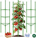 WAENLIR 3-Pack Tomato Cage for Garden, Up to 51 Inch Tomato Trellis for Raised Garden Bed, Plant Stakes for Pots, Durable Tomato Plant Support Garden Stakes for Climbing Plants (Green, 51 inch 3 Pack)