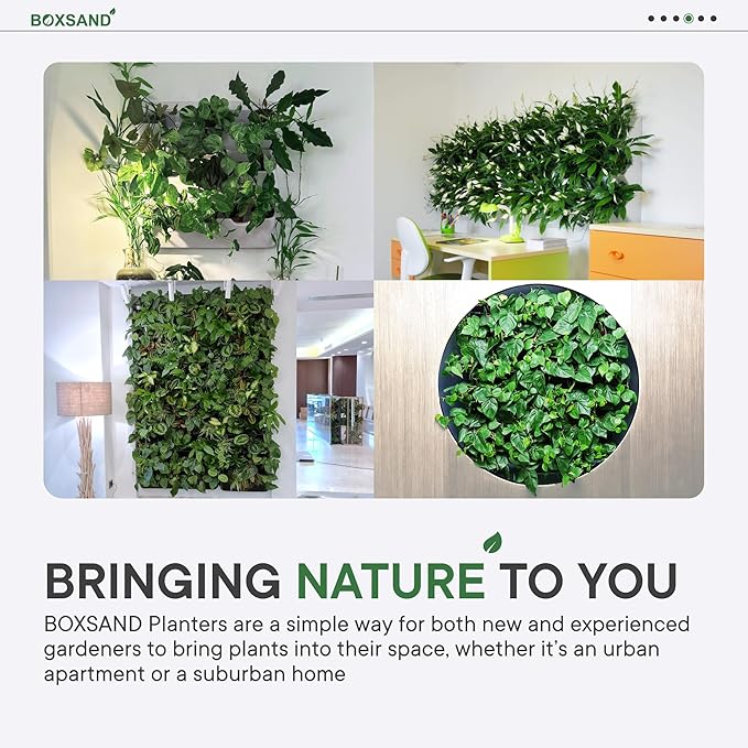 BOXSAND-12 Vertical Wall Planter for 12 Plants – Indoor/Outdoor Living Wall, Space-Saving Vertical Garden System, Easy 2-Screw Install (White, 24"x26", no pots)
