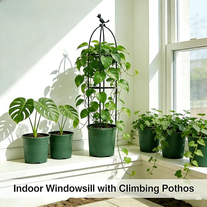 Garden Trellis 67in, Plant Trellis for Climbing Plants, Outdoor Indoor Heavy Duty Plant Trellis for Potted Tomatoes, Clematis, Vines, Flowers, Vegetables.