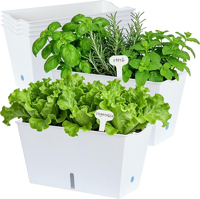 Window Box Planter 6 Pcs, 12.1 Inches Self Watering Plant Pots Rectangle Flower Pots with Drainage Holes and Breathable Trays, Vegetable Planters for Windowsill Patio Garden Balcony Porch Yard (White)