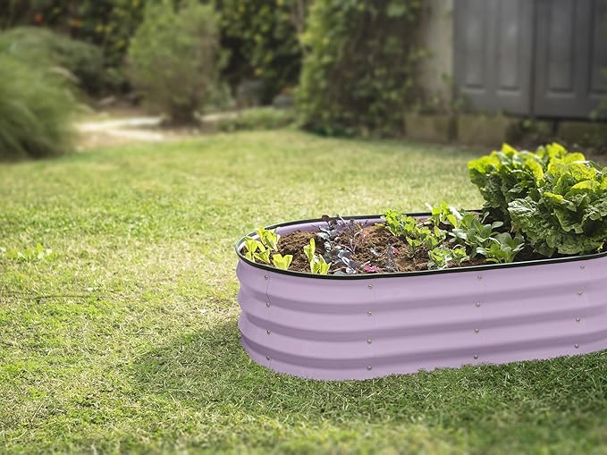 Plant & Plot Galvanized Raised Garden Beds Outdoor // 4×2×1 ft (2-Pack) Planter Raised Beds for Gardening, Vegetables, Flowers (Lavender) // Large Metal Garden Box