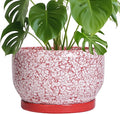 SQOWL Ceramic Planters for Indoor Plants - 10 Inch Flower Pots with Drainage Hole and Saucer, Decorative Ceramic Plant Pots, Round Large Planter Outdoor, Room Decor, Housewarming Gifts, Red and White