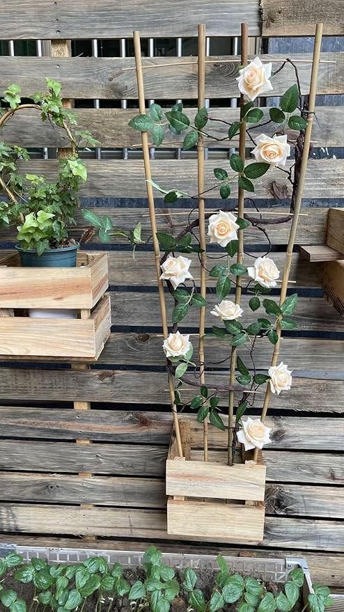 Natural Bamboo Trellis, 4Feet,3Pack,Fan-Shaped Plant Support Trellis for Outdoor and Indoor Potted Climbing Plants,Vegetables, Cucumber, Tomato, Hoya,