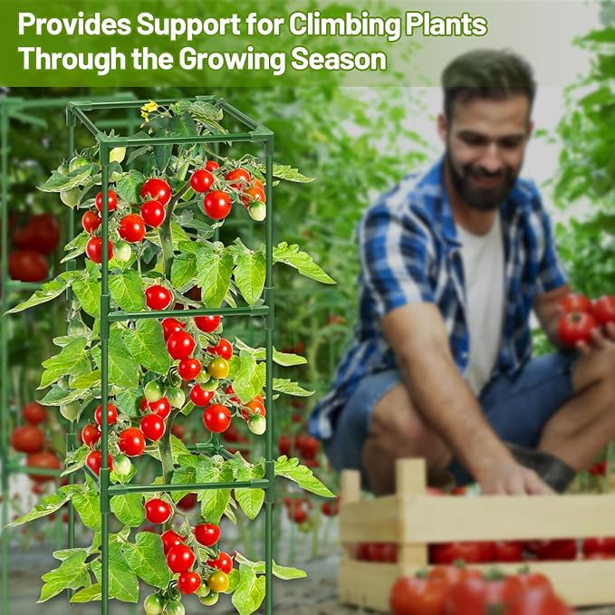 Legigo 2 Pack Square Tomato Cages for Garden- Up to 45 Inch Tomato Trellis Plant Cages Support, Tomato Stakes and Supports Cage for Climbing Vegetables Raised Garden Bed Cucumbers Peppers Flowers