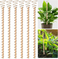 6pcs Electroculture Plant Stakes, 13.5'' Copper Coil Wire Antennas Garden Stakes, Tensor Rings Kit, Copper Rods Electronic Planting for Growing Vegetable Garden Plants Support Outdoor Indoor
