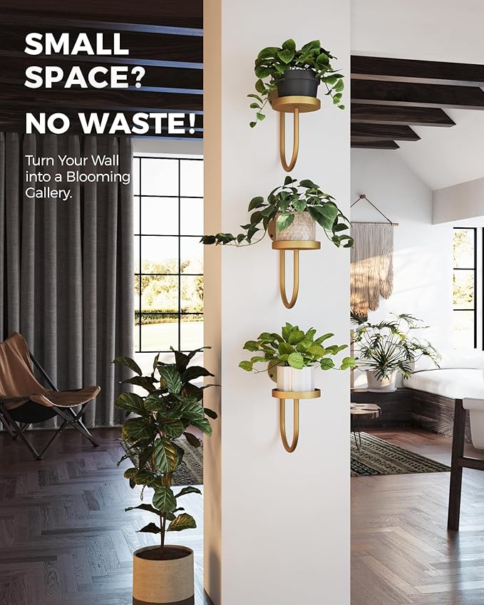 Bamworld Wall Plant Holder Wall Planters for Indoor Plants Plant Hanger Indoor Window Plant Shelves Hanging Plant Holder Window Plant Hanger Plant Decor Golden 3pcs