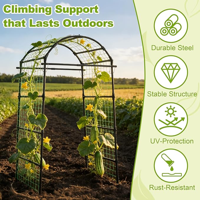 Miory Garden Arch Trellis for Climbing Plants Outdoor, Metal Plants Support Trellis for Climbing Vine Tomato Vegetable Flower Fruit, Cucumber Trellis for Raised Bed (32 x 83 Inch)