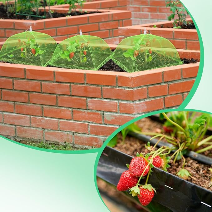 6 Sets Strawberry Plant Support with Mesh Cover - Square Gardening Frame, Animal Barrier, Iron Stakes & Storage Bag for Healthy Strawberries, Tomatoes, Veggies (Green) (6 pcs)