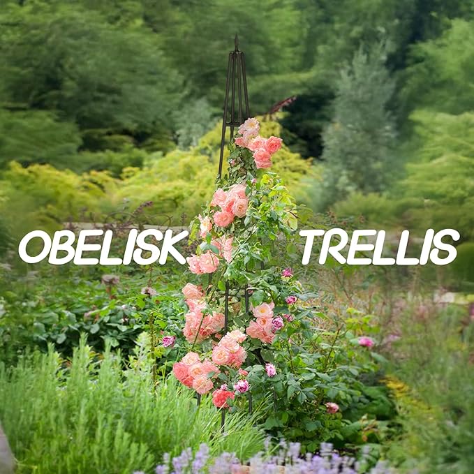 Obelisk Trellis for Climbing Plants Outdoor,6 Ft Garden Trellis for Potted Plants, Metal Trellis with Anti-Rust Coated for Potted Plants Indoor, Plant Support for Vegetables, Vines