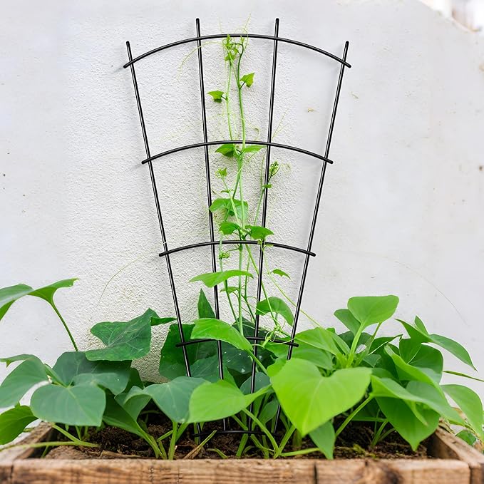 4 Pack 32'' Indoor Plant Trellis for Potted Plants Climbing Outdoor Metal Garden Trellis Houseplants Flowers Vine Ivy,Fan Shape, Black