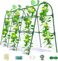 Cucumber Trellis for Raised Bed, U-Shape Garden Arch Metal Support for Climbing Plants, Metal Arch Plant Support Vegetables Trellis, Plant Support for Vine Outdoor (Green, 47*30*47inch(L*W*H))