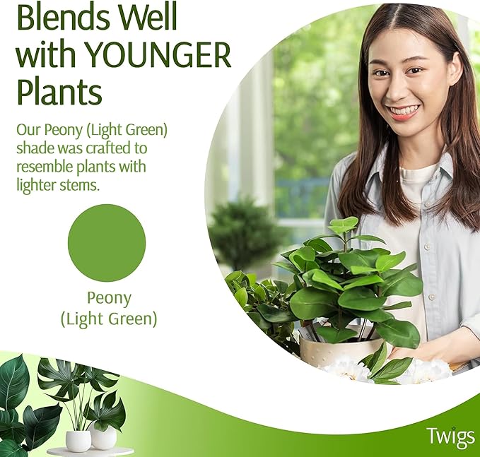 Mini Twigs Plant Support Stakes for Small Plants, Indoor & Outdoor Use, Gardening Supplies, Garden Accessories, Trellis & Ring Alternative, Made in USA - Peony (Light Green), 10 Pack, 12" L