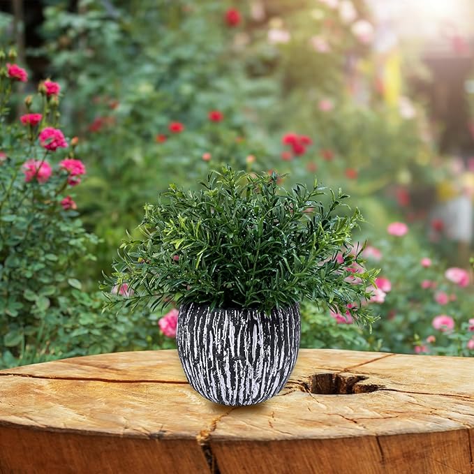 Winlyn Set of 3 Artificial Potted Plants Faux Eucalyptus Rosemary Boxwood Greenery in Black & White Concrete Pots Small Fake Plant for Indoor Outdoor Home Office Table Shelf Windowsill Greens Décor