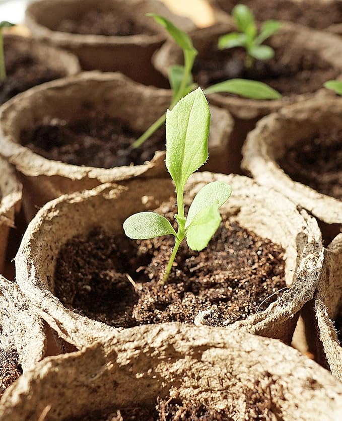 homenote Peat Pots, 3.15/4 Inch 120 Pcs Seed Starting Pots with Drainage Holes Round Nursery Plants Pots with Bonus 20 Plant Labels