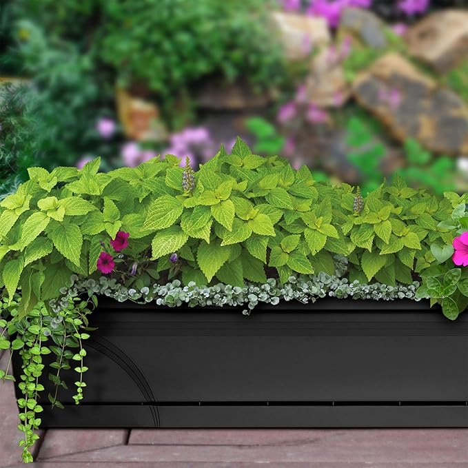 Southern Patio 36 Inch Medallion Weatherproof and Sunray Protected Plastic Hanging Windowsill Garden Box Planter with Drainage Holes, Black
