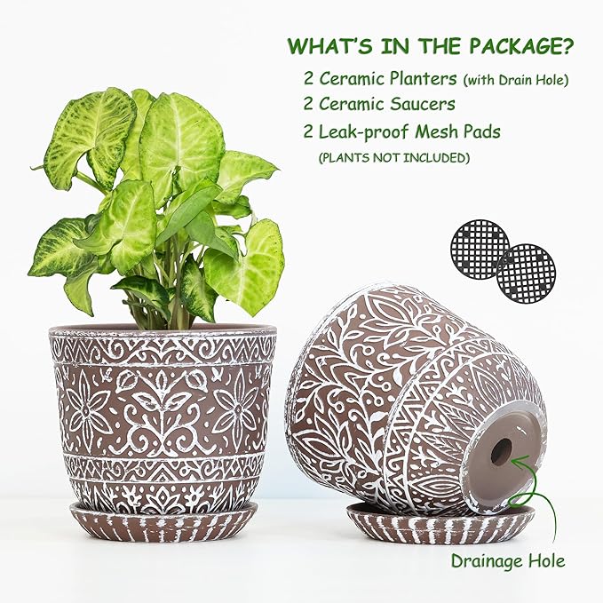 Gepege 6 Inch Ceramic Planter, Plant Pot with Drainage Holes and Saucers for Indoor Plants, Small Flower Pot, Birthday for Women Mom
