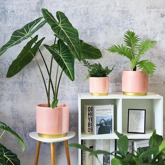 Gepege Pink Indoor Plant Pots for Plants, Ceramic Planter with Drainage Hole, 7.6 Inch +6 Inch 2pcs Succulent Orchid Flower Pot - Rainbow Pearl Glaze