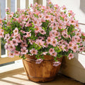 20 Bundles Artificial Flowers for Outdoors, UV Resistant Fake Plants Flowers Greenery Shrubs Plants for Decoration Outside Plants Hanging Planter Home Garden Decor (Pink)