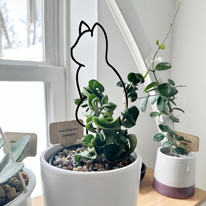 Cat-Shaped Small Trellis for Potted Plants, 13 inches Hoya Trellis 2 Pack, Metal Plant Trellis for Climbing Plants Indoor, Houseplants Trellis Indoor (Black)