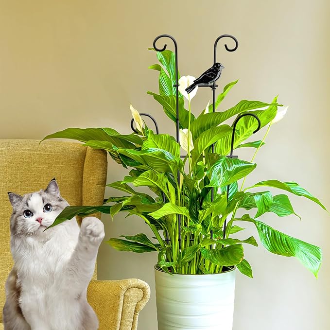 23in Plant Trellis Indoor, Trellis for Potted Plants with Bird, Garden Trellis Climber Support for Climbing Plants Pothos Hoya Vine