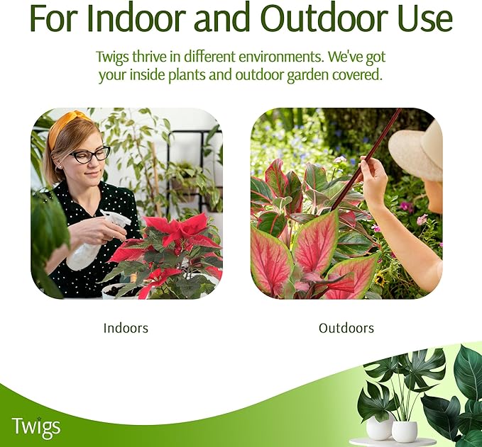 Mini Twigs Plant Support Stakes for Small Plants, Indoor & Outdoor Use, Gardening Supplies, Garden Accessories, Trellis & Ring Alternative, Made in USA - Begonia (Red), 10 Pack, 12" L
