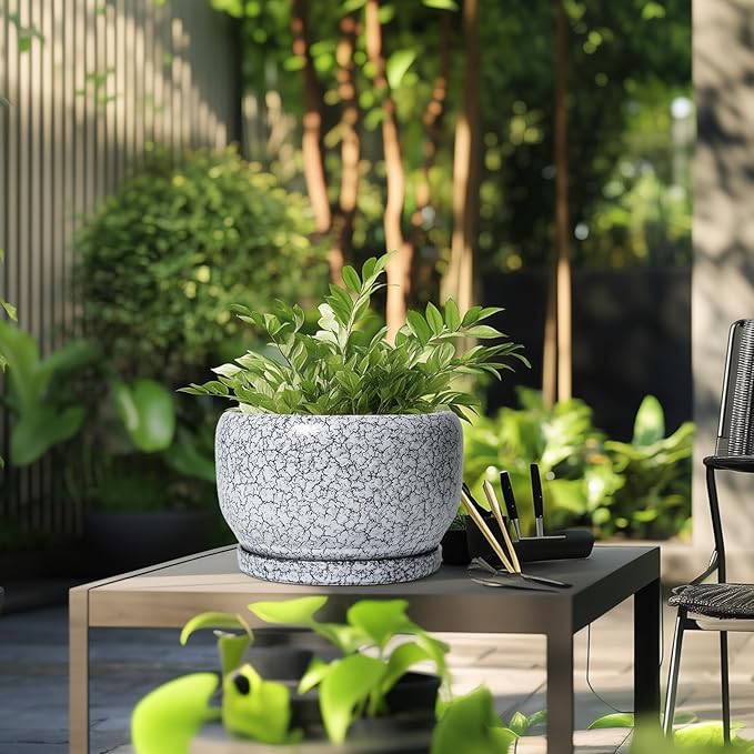 SQOWL Ceramic Planters - 10 Inch Ceramic Flower Pot with Drainage Hole and Saucer, Decorative Plant Pot Indoor, Round Large Planter Outdoor, Bathroom Decor, Gifts for Plant Lovers, Black and White