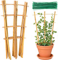 Bamboo Trellis, 24pack 16 Inch Small Plant Wood Bamboo Trellis for Climbing Plants Indoor Potted Plants