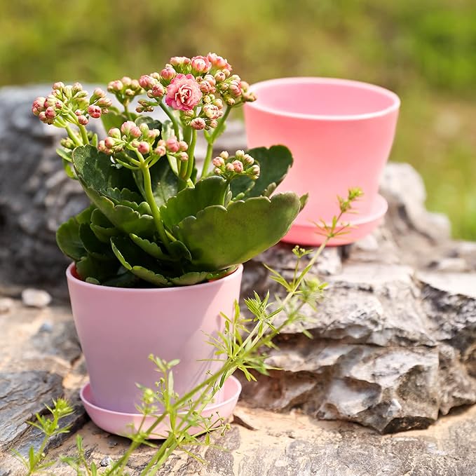 TDHDIKE 10 Pcs Plastic Planters Indoor Flower Plant Pots, Mini Flower Seedlings Nursery Pot/Planter/Flower Pot with Pallet, Modern Decorative Gardening Containers (Pink)