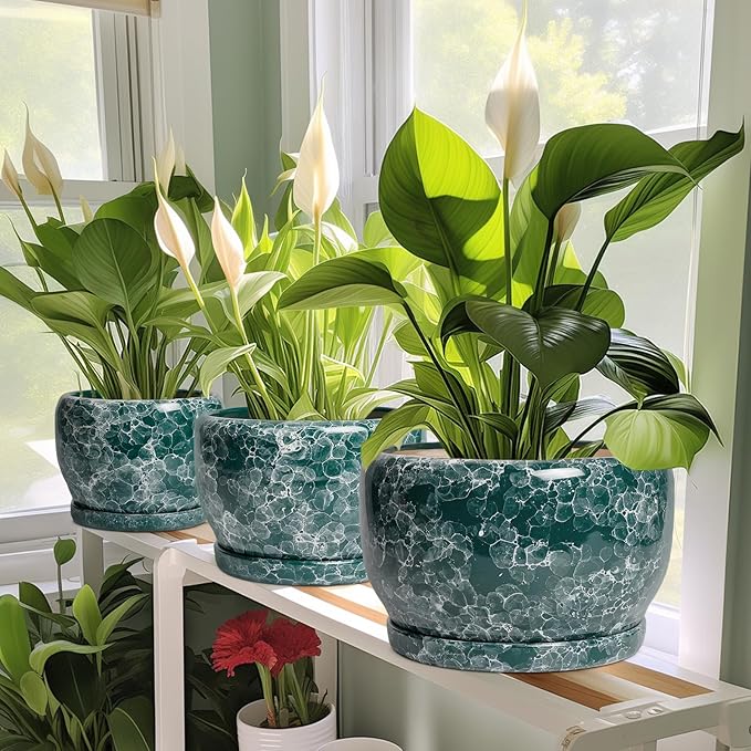 SQOWL 10 Inch Plant Pot - Ceramic Planter for Indoor Plants Outdoor, Large Ceramic Flower Pot with Drainage Hole and Saucer, Decorative Round Planter, Living Room Decor, Gifts for Women Men, Green
