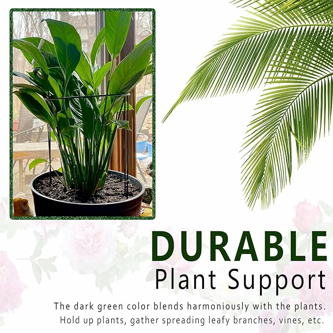 6 Pack Plant Support Stakes, 15.8" Half Round Metal Garden Plant Supports for Indoor Plants, Green Plant Cage Ring for Monstera, Peony, Hydrangea, Potted Plant Holder Sticks (10" Wide)