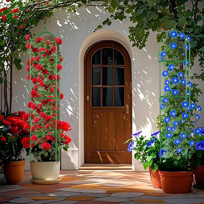Garden Trellis for Climbing Plants, Tomato Cage, Rose, Flowers, Grape, Pea, Cucumber Trellis, Rustproof Plastic Coated Metal Plant Support for Potted Plants Indoor Outdoor - 2PC Plant Trellis