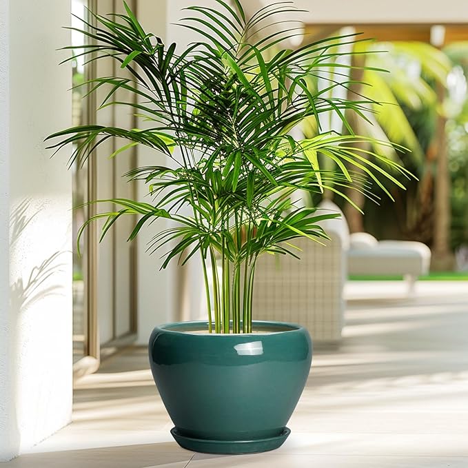 8 Inch Plant Pot - Ceramic Planter for Indoor Outdoor Plants, Glaze Modern Round Ceramic Flower Pot with Drainage Hole and Saucer, Gifts for Plant Lover, Home Office Patio Decor, Green