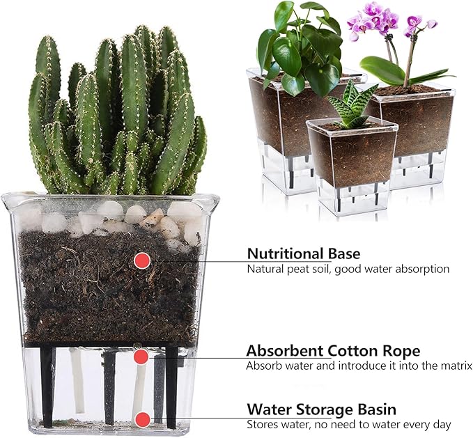 Self Watering Pots Set, 3 Pack 5 Inch for Indoor Plants, Clear Nursery Planter With Deep Reservoir for Spider Plant, Orchid, African Violet
