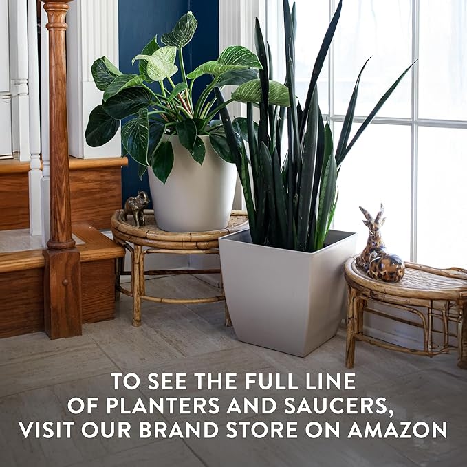 The HC Companies Aria Round Self-Watering Pot - Lightweight Plastic Planter for Herbs & More - Durable Plant Pots for Indoor Plants & Outdoor Plants (12" Glossy Avocado, Pack of 2)