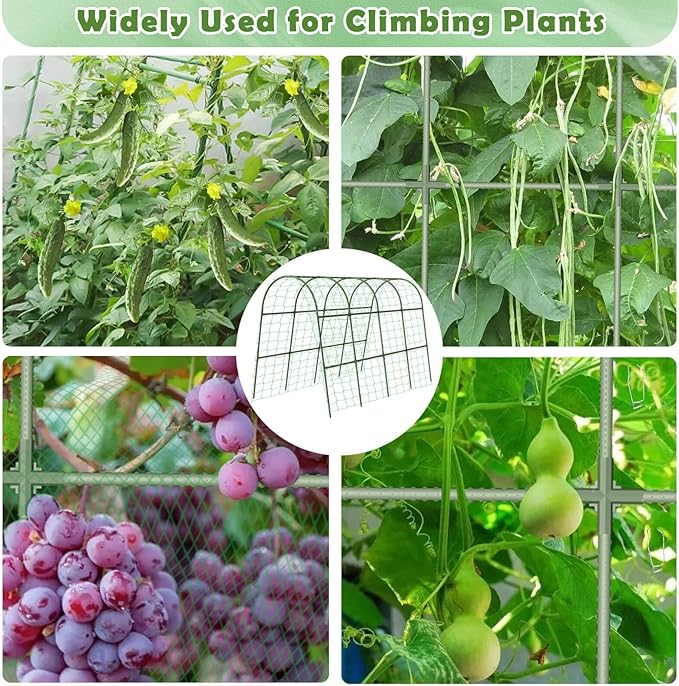 Cucumber Trellis for Raised Bed, Large Size Garden Arch Trellis for Climbing Plants Outdoor, Metal Garden Trellis for Spring Vegetables, Cucumber Trelli for Tomato, Bean, Pea, Grape, Plant