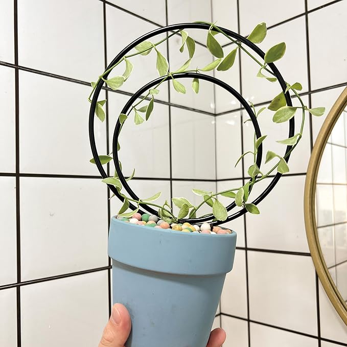 Mirthdino Premium Hoya Trellis - Unique Metal Plant Support for Climbing Plants - Set of 3 Different Sizes - Ideal for Indoor and Potted Plants