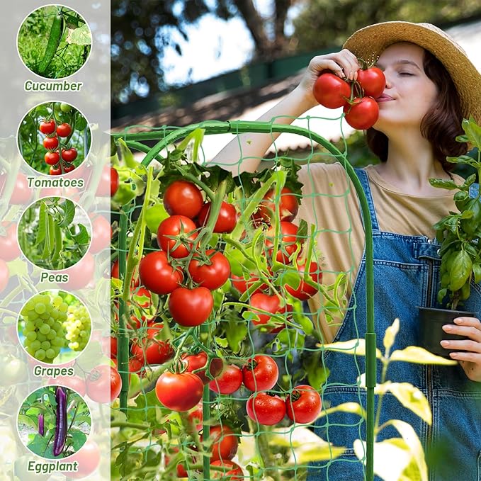U-Shape Cucumber Trellis with Fabric Raised Garden Bed 65x50 Inch Metal Garden Arch Trellis with Net, Climbing Plants Vegetables Heavy-Duty Outdoor Plant Support for Pea, Grape, Squash, Tomatoes