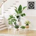 5 Pack Heavy Duty Rustproof Iron Flower Pot Stand Holder Indoor Outdoor Pot Stand Rack Decorative Round Flower Stand Display Shelf for Living Room