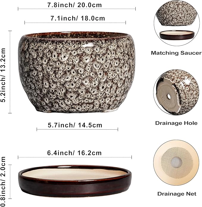 SQOWL Ceramic Planter - 8 inch Plant Pot Indoor with Drainage Hole and Plant Saucer, Round Ceramic Flower Pots Outdoor, Decorative Modern Planter, Office Kitchen Decor, Gifts for Women Men, White