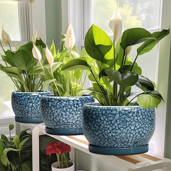 SQOWL Ceramic Pots for Plants - 6 Inch Plant Pot Indoor Outdoor, Ceramic Planter with Drainage Hole and Saucer, Decorative Round Planter, Small Flower Pot, Table Decor, Gifts for Plant Lovers, Blue