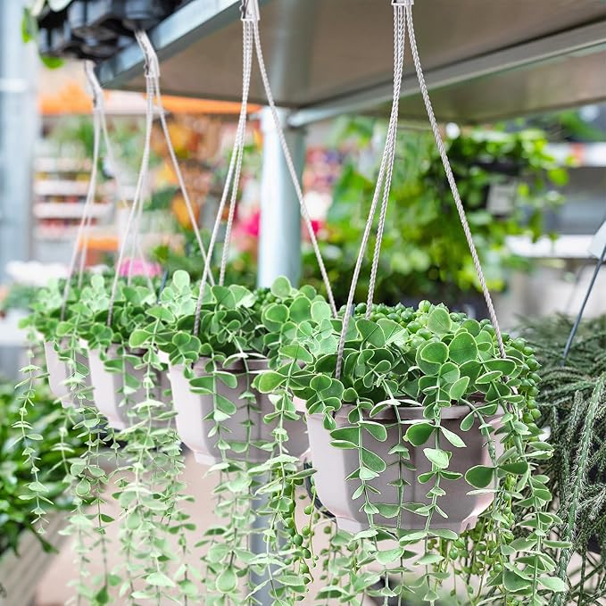 Roshtia 50 Pcs 5.9 inch Plastic Hanging Plant Pots with Hooks Flower Pots Baskets Outdoor Hanging Nursery Planter Holder for Home Garden Balcony Porch(Gray White, 5.9 inch)